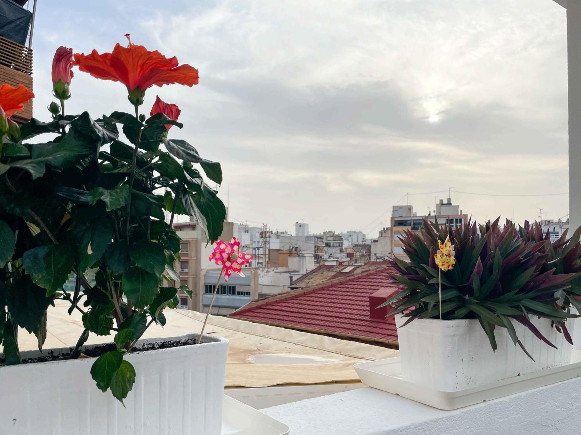 El Atico Del Mercado. Un Lugar Dificil De Olvidar. อาลิกันเต ภายนอก รูปภาพ